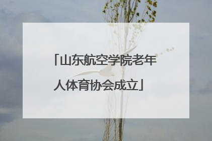 山东航空学院老年人体育协会成立